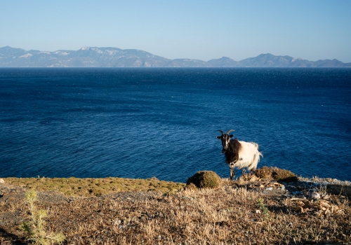 Francesco Ranoldi Fotografo - Creta Grecia
