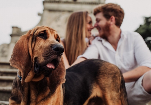 Francesco Ranoldi Photographer - engagement in Padova bracco