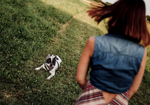 Francesco Ranoldi Fotografo - padrona e cane bulldog francese padova